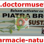 Balsam activator cu ulei de Camelina Piatra Broastei SUSTAMED pentru articulatii RUSIA